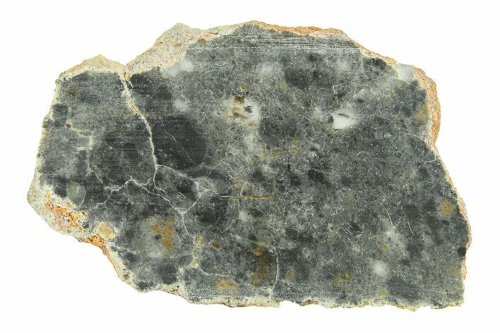 Lunar Meteorite ( g) Slice - Bechar #291669